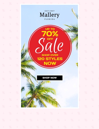 Sale Newsletter Vorlage