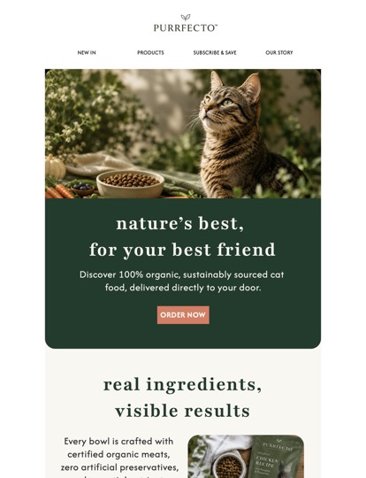 Pet Food Newsletter Vorlage