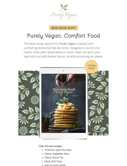 eBook Promotion Newsletter Vorlage