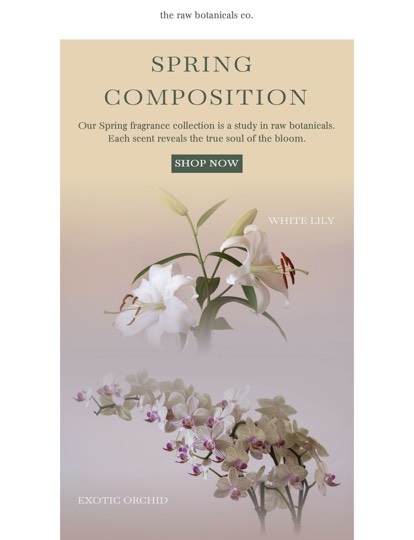 Fragrance Shop Newsletter Vorlage
