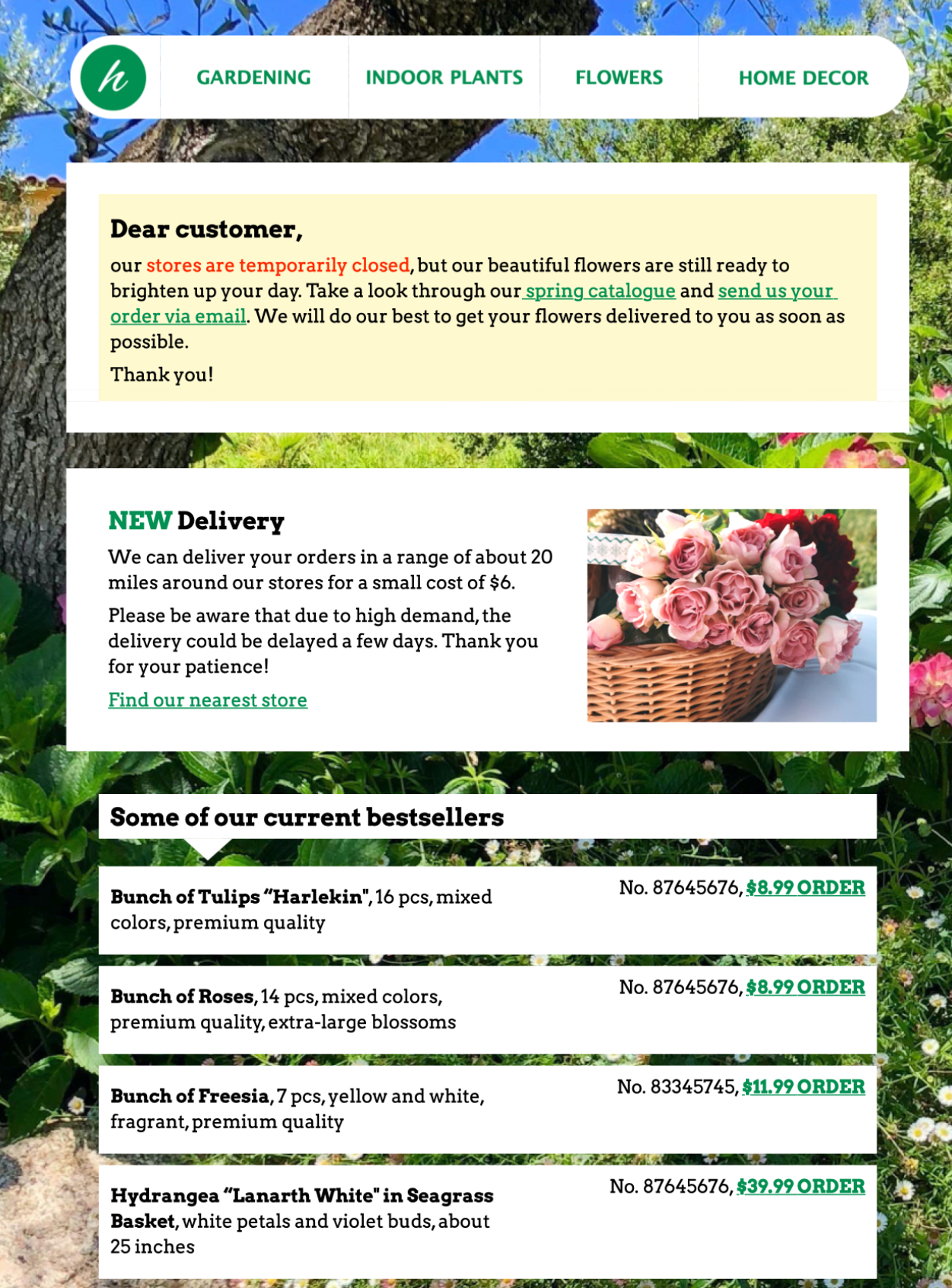 Small Business Florist HTML email template for florists and flower shops