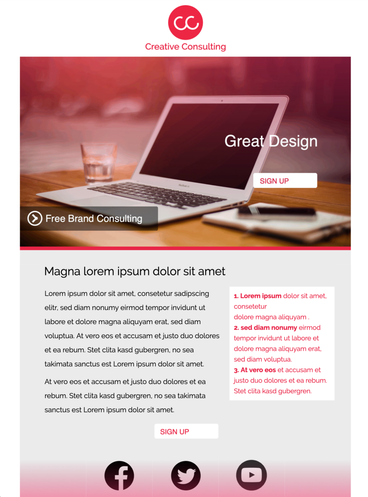 Consultancy Firm html email template for consultants and agencies