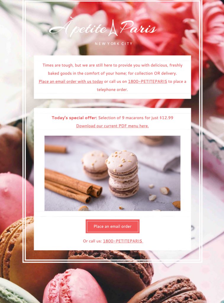 html email template for independent bakers and cake stores