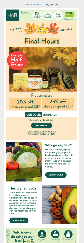 Fall email campaign by Holland & Barrett