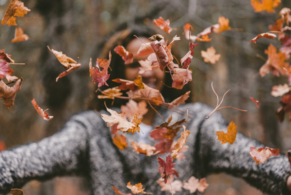 Must have features for fall email campaigns