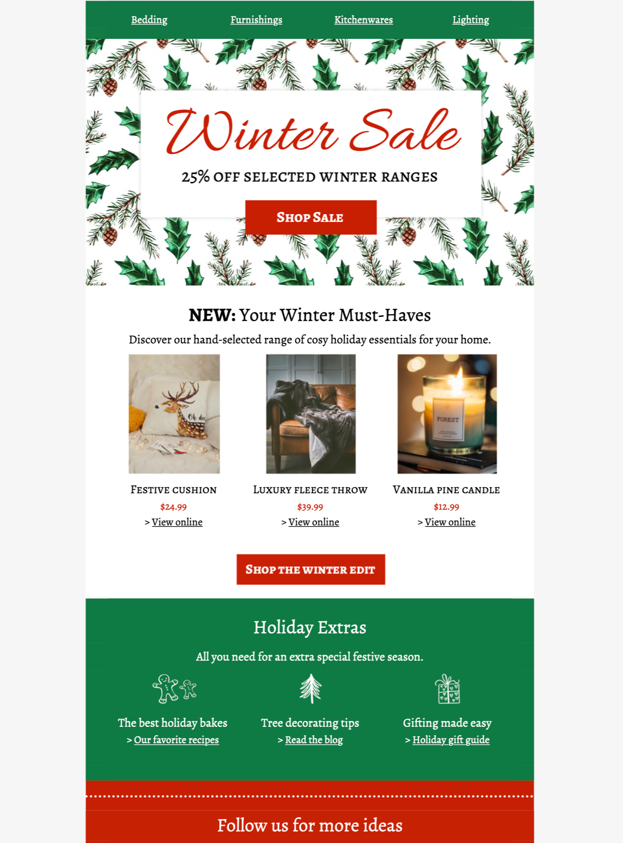 Winter sale email template