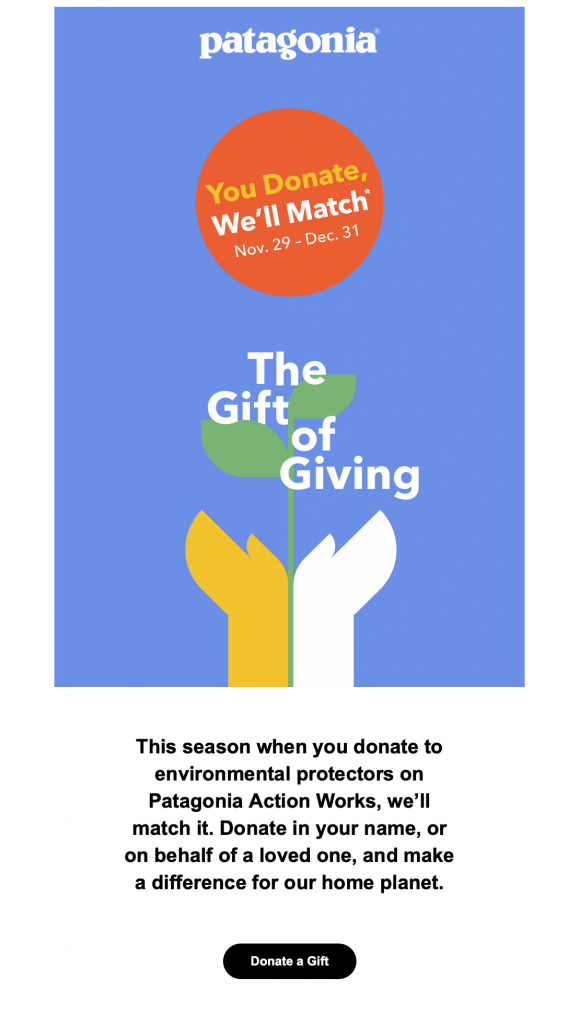 Giving Tuesday email by Patagonia
