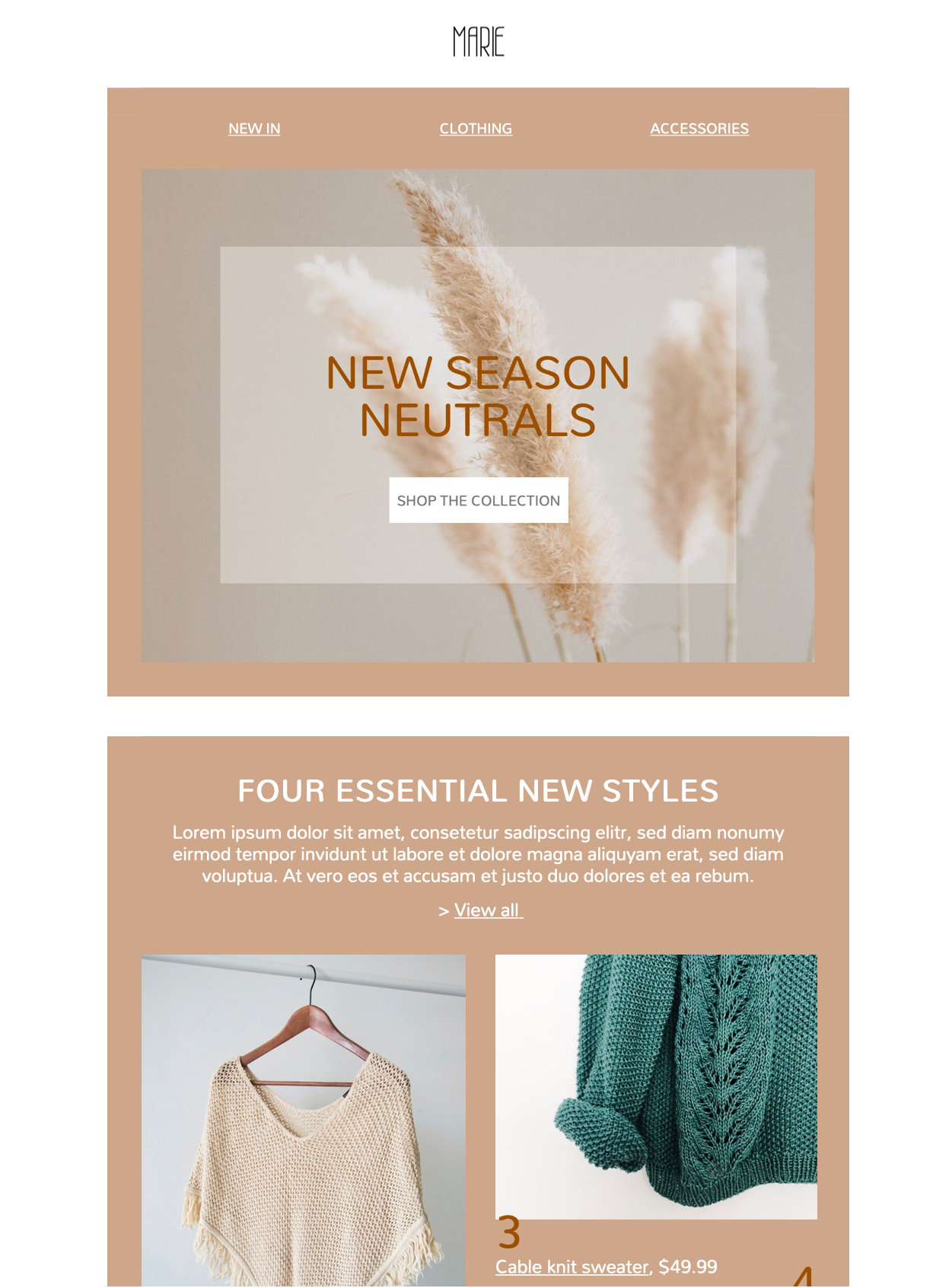 html email template for fashion brands