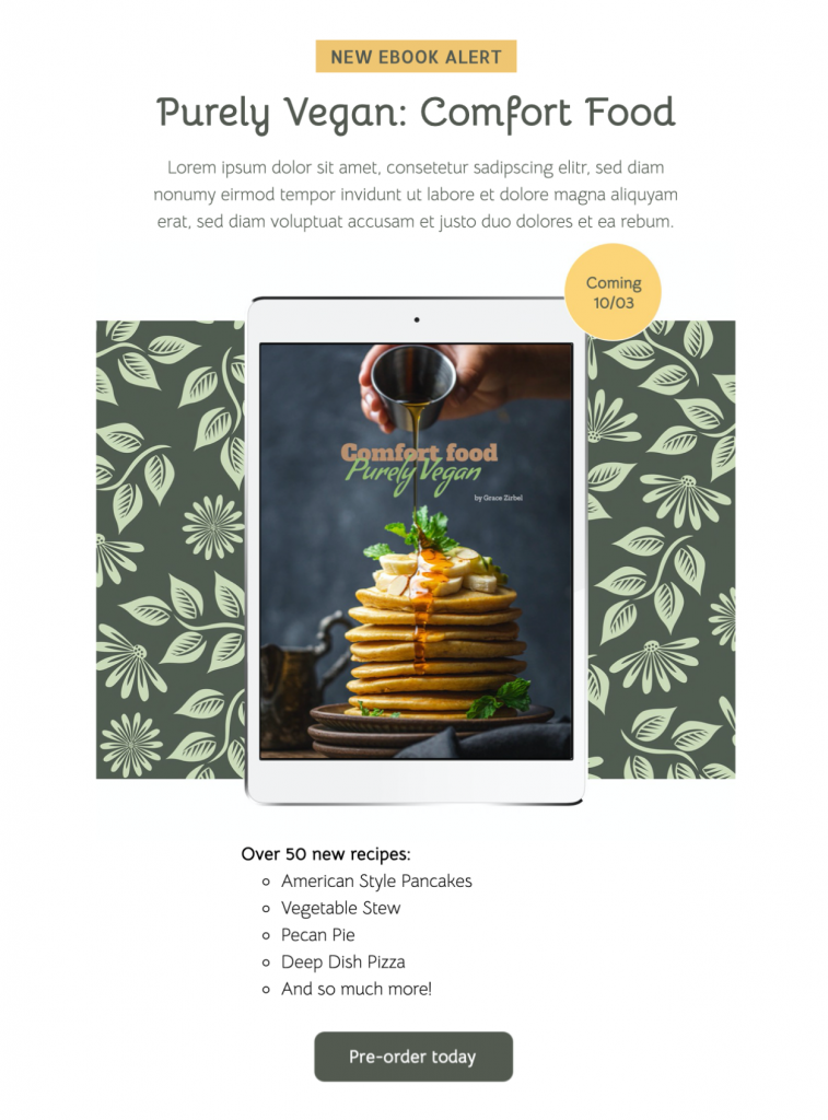 ebook promotion email template for book launch