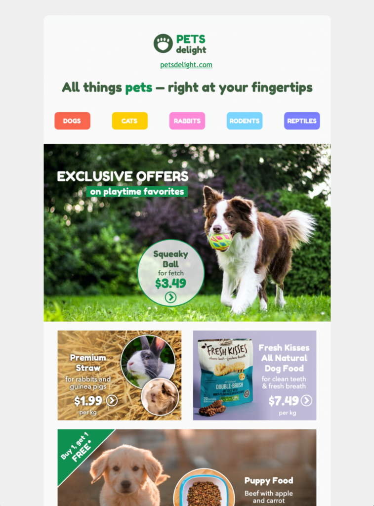 pet shop and animal care themed email template