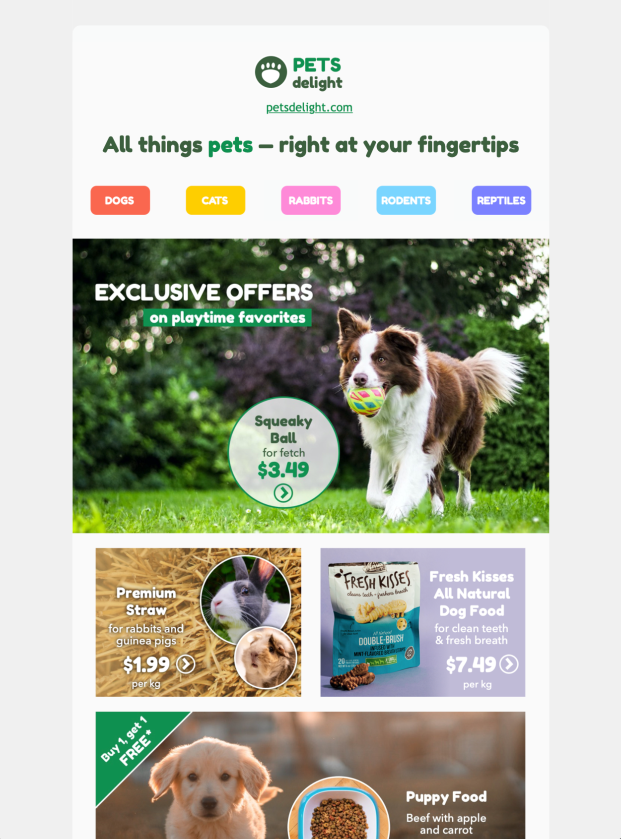 pet shop and animal care themed email template