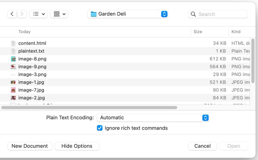 Ignore Rich Text in Text Editor to see the Raw HTML
