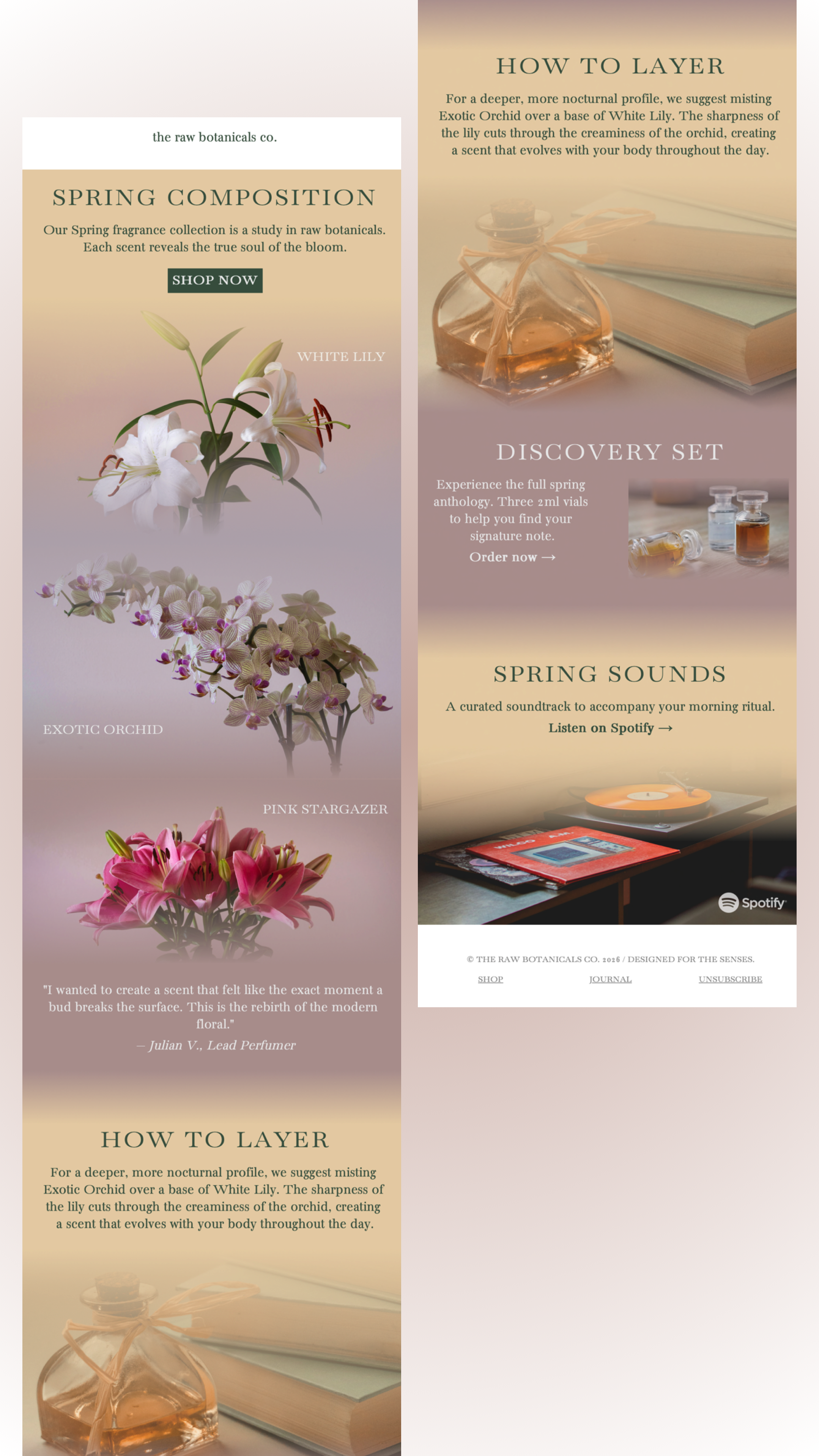luxury perfume email template mail designer 365