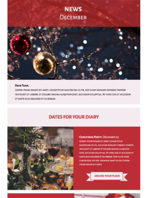 Holiday Newsletter