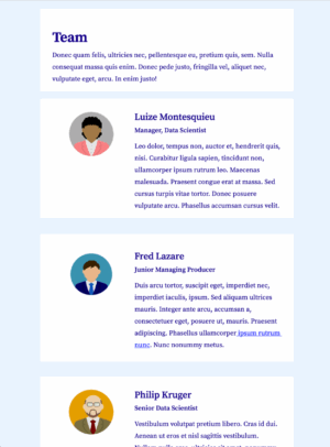 Meet the Team HTML email template for internal team emails