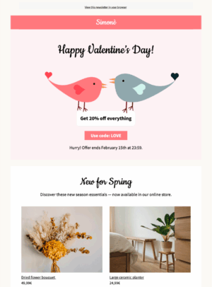 Valentine's Day Offer