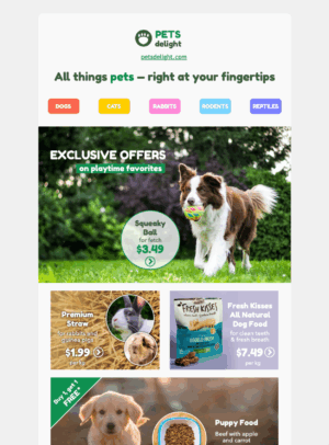 Pets Delight pet shop and animal care themed email template