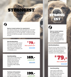 B2B Sales Email design template for promoting sales workshops and training events – clean, professional layout with bold headline and structured content blocks.
